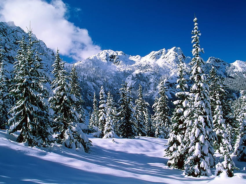 Alpenseen Wildnis Winternatur, winterliche Bergseen HD-Hintergrundbild