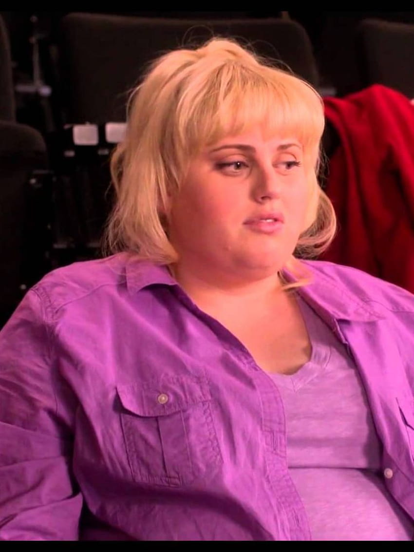 Fat amy [1920x1080] for your , Mobile & Tablet HD phone wallpaper | Pxfuel