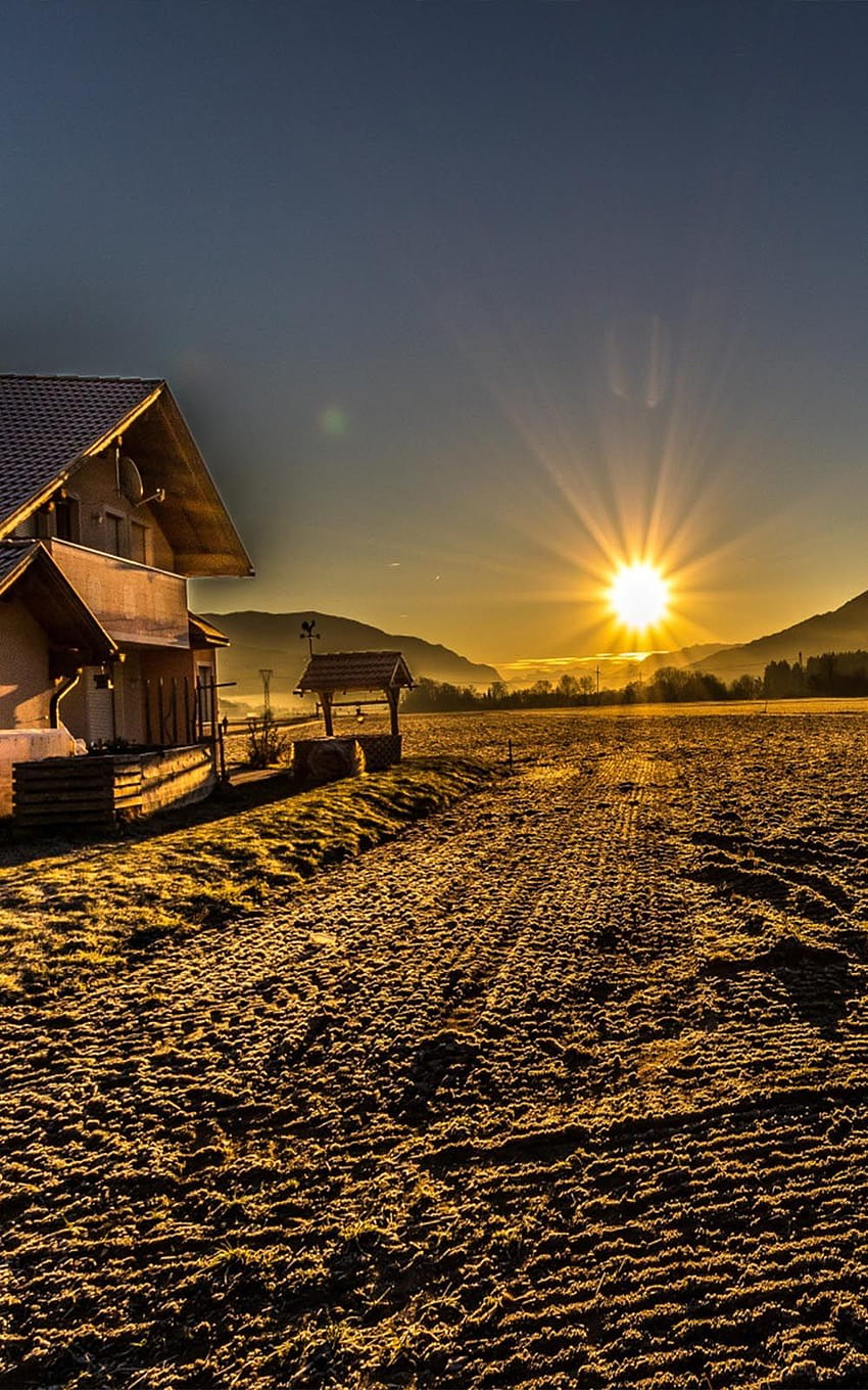 Frosty Country Morning Sun Rise, sol móvil fondo de pantalla del teléfono