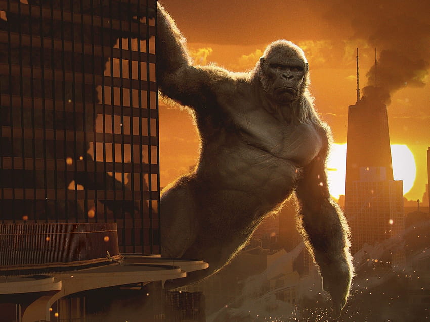 Godzilla vs Kong, King Kong, 2020 Películas, Cine, Godzilla vs King Kong fondo de pantalla