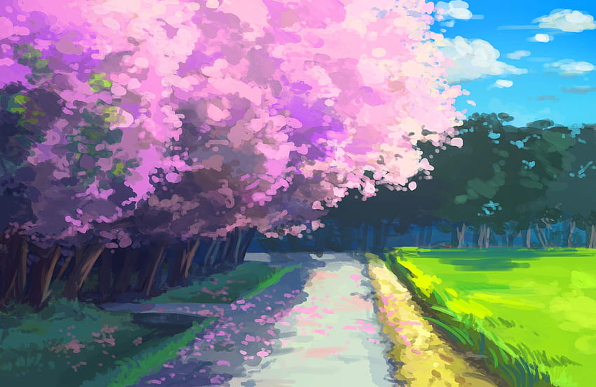 Cherry blossom graphics, anime, cherry blossom, cherry blossom anime HD wallpaper