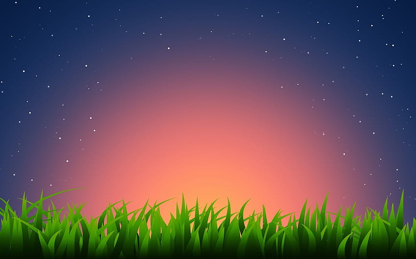 หญ้าใต้ท้องฟ้ายามค่ำคืน ...pinterest ดวงดาวแห่งฤดูใบไม้ผลิ วอลล์เปเปอร์ HD