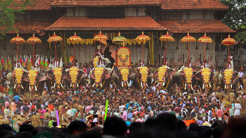 Thrissur Pooram, éléphants de thrissur Pooram, vidéos de Thrissur Pooram Fond d'écran HD