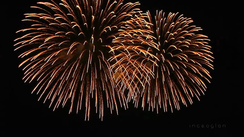Happy New Year Fireworks – Happy Holidays!, new year firecracker HD wallpaper