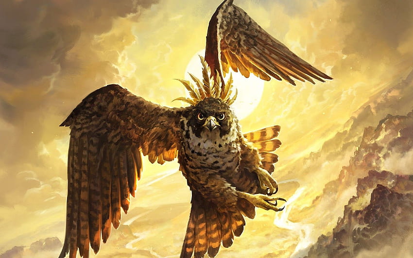 Flying Falcon 49244, falcon bird HD wallpaper