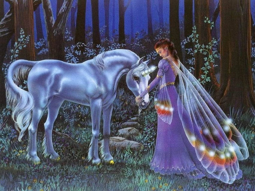 Unicorns and Fairies, unicorn rider HD wallpaper