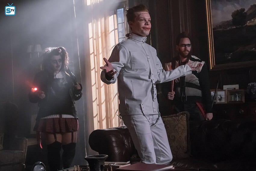 Gotham 3x14, jerome valeska HD wallpaper