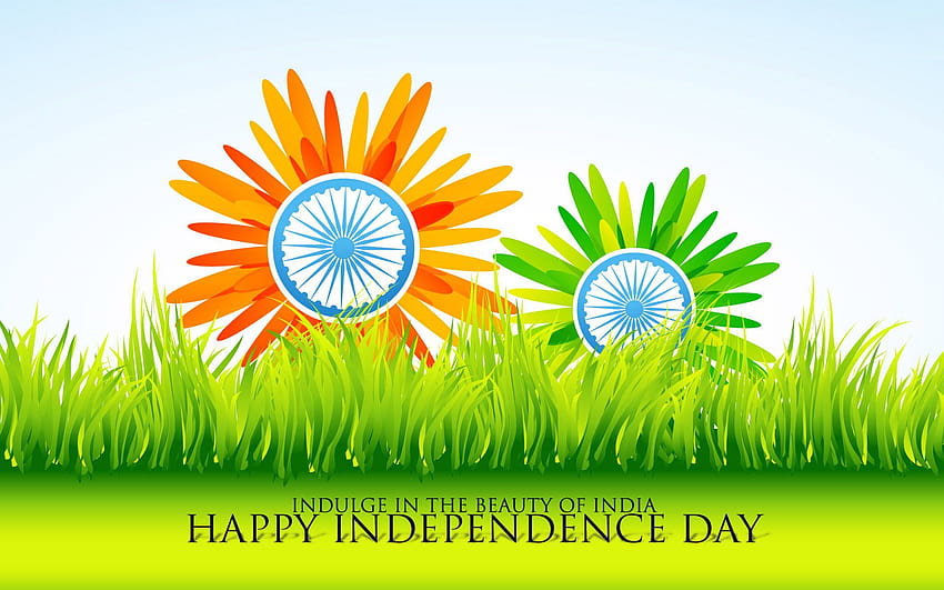 Bandiera indiana, , Whatsapp DP, festa dell'indipendenza 2020 a schermo intero Sfondo HD