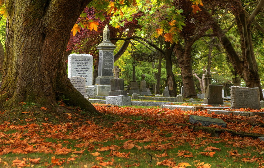6 Herbstfriedhof, Grabstein HD-Hintergrundbild