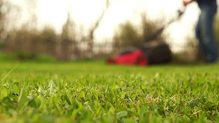 Man mowing grass in the blurred backgrounds Stock [1920x1080] for your , Mobile & Tablet HD wallpaper