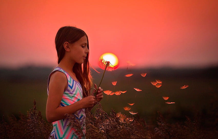 the sun, sunset, dandelion, girl, girl and dandelion HD wallpaper