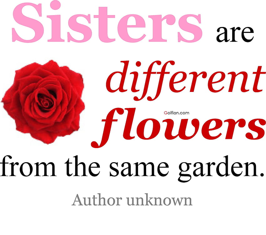 8 Most Beautiful Sister Quotes – Best Sister Love Sayings, best sis ever HD wallpaper