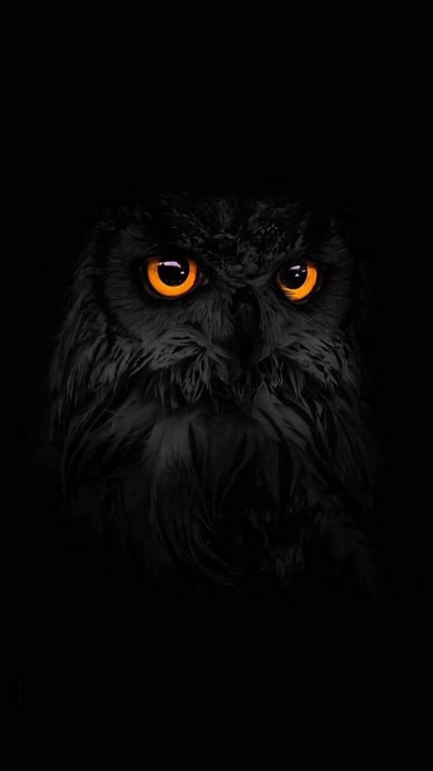Dark Owl, black owl HD phone wallpaper