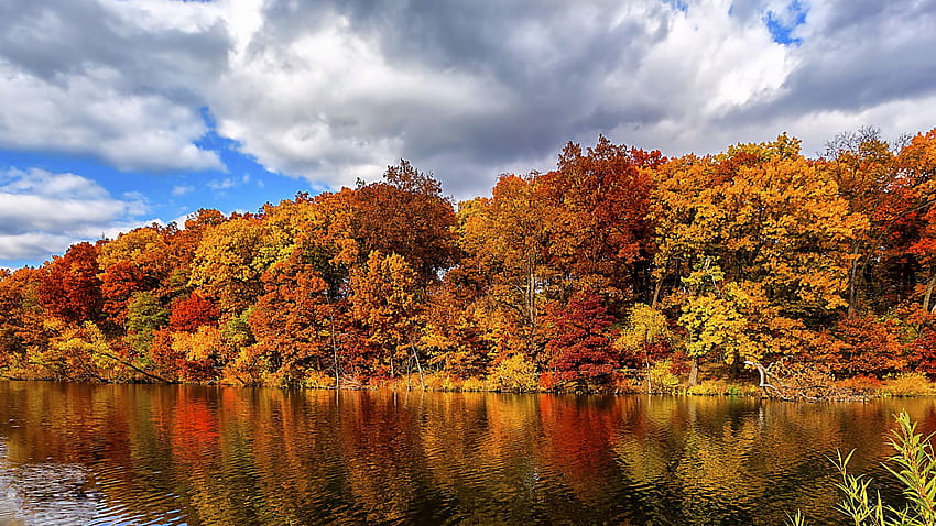 otoño, bosque, lago, naturaleza, otoño bosque luz del sol horizontal fondo de pantalla