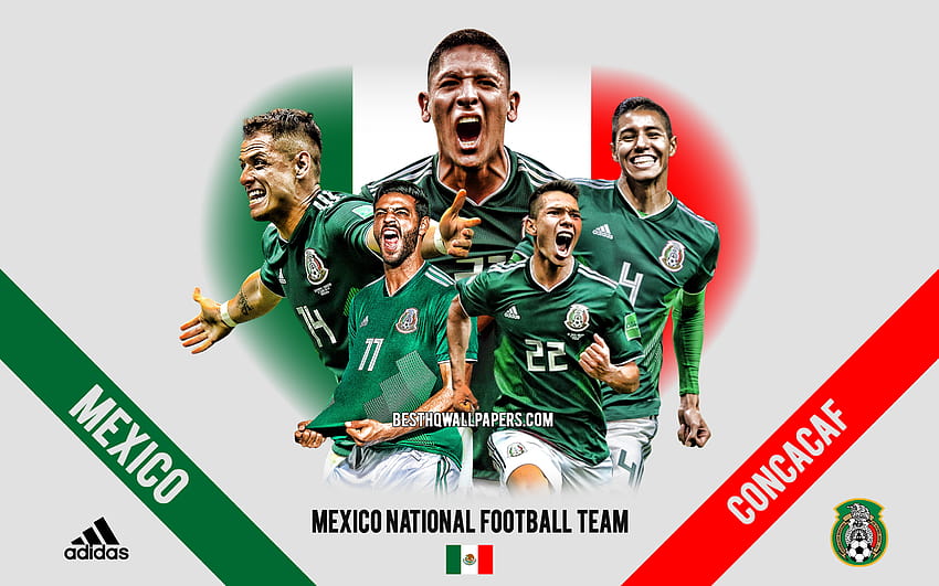Download Mexicos National Soccer Team Celebrating a Win Wallpaper   Wallpaperscom