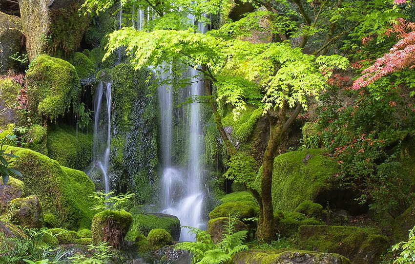trees, stones, waterfall, Oregon, Portland, Oregon, portland japanese garden HD wallpaper
