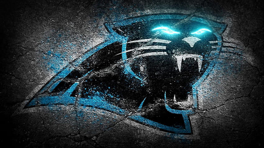 Cam Newton Carolina Panthers Art by Joe Hamilton