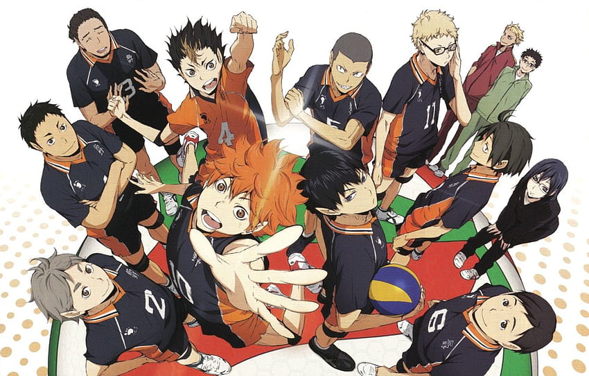 up, red, glasses, team, guys, friends, the excitement, characters, gestures, sports uniforms, Haikyuu!!, Volleyball!, Shouyou Hinata, Tobio Kageyama, by Haruichi Furudate , section сёнэн, hinata shouyou HD wallpaper