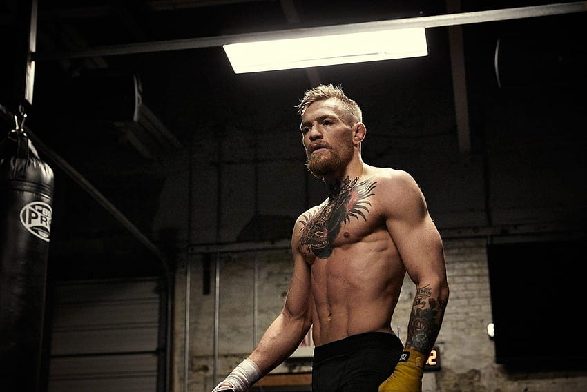 Conor McGregor dalam Kualitas Tinggi dan, conor mcgregor Wallpaper HD