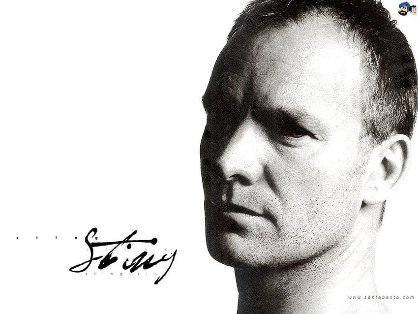 Sting Sting ve arka planlar, sting müzisyeni HD duvar kağıdı