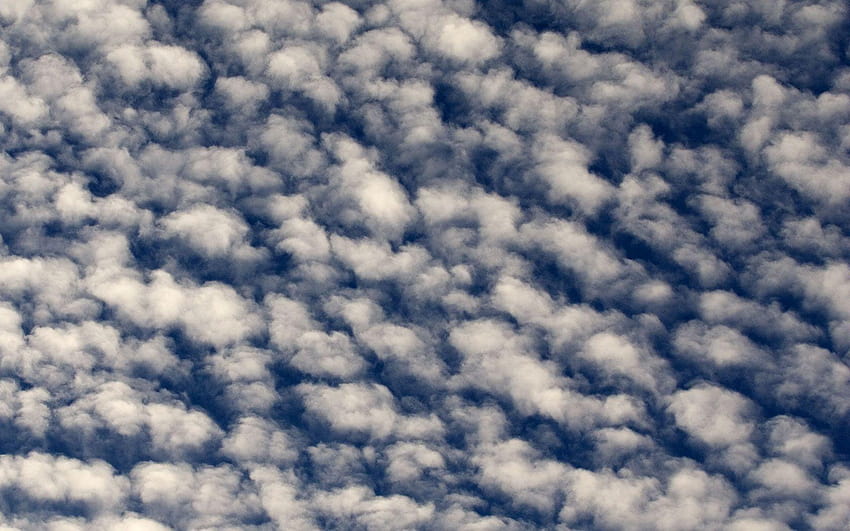 Of Cotton Wool Clouds HD wallpaper | Pxfuel