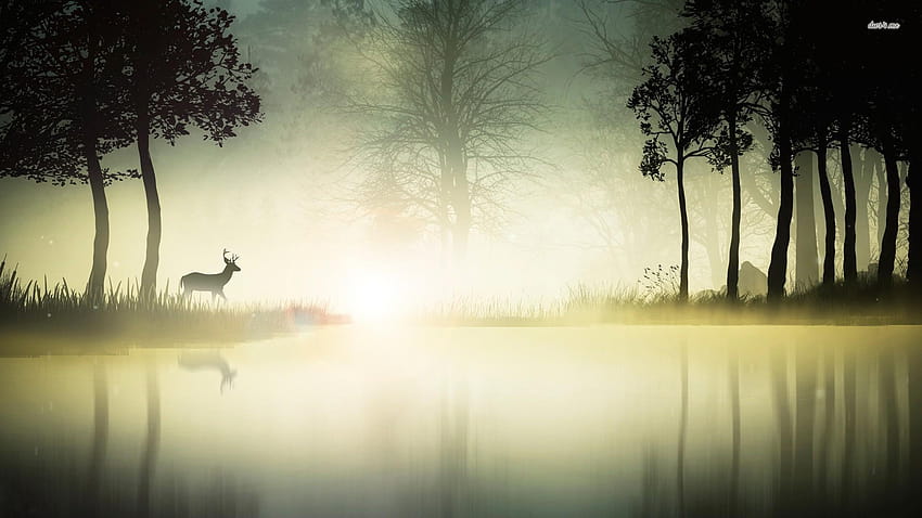 霧の湖の鹿、 高画質の壁紙