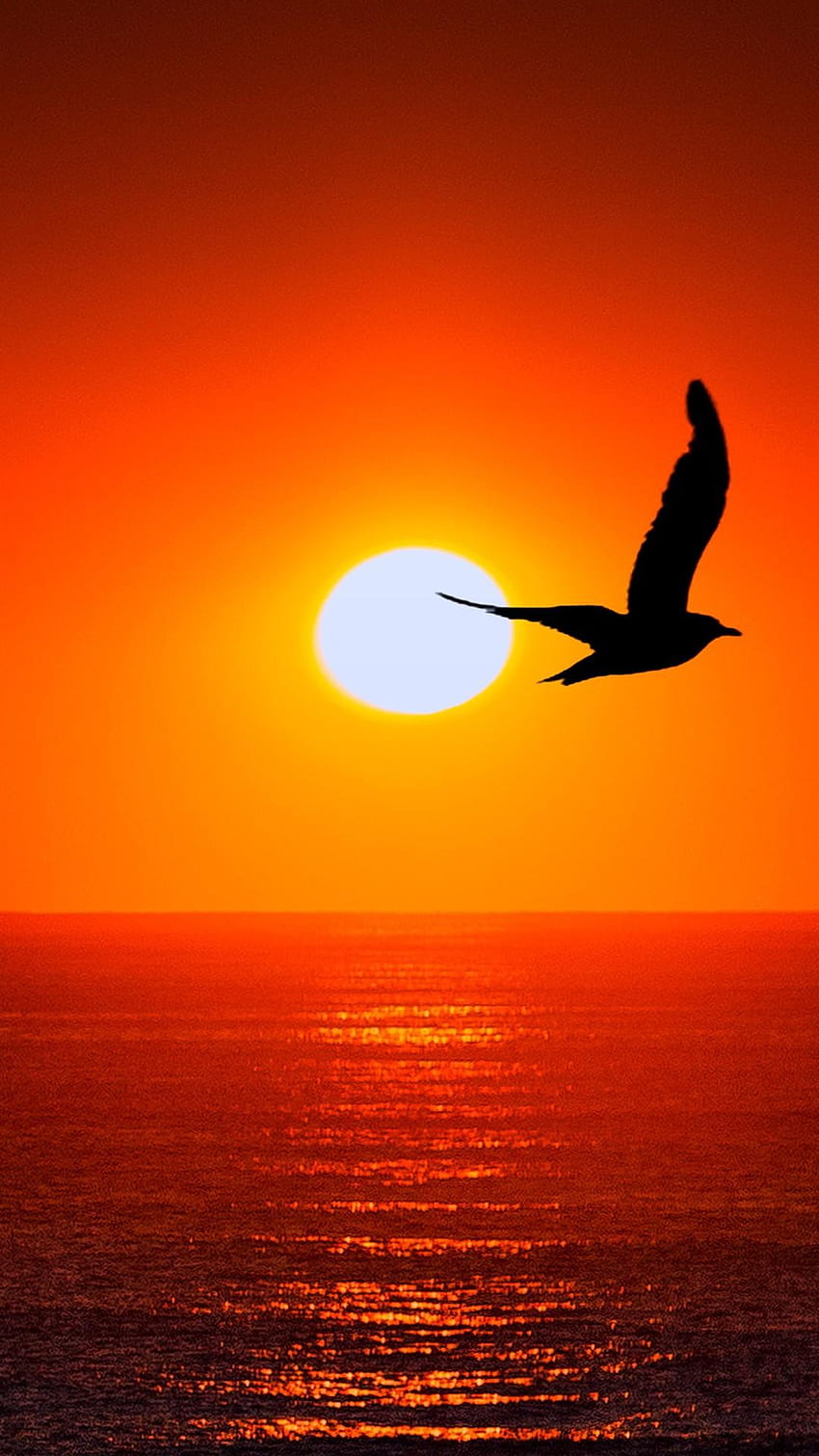 : Sylwetka ptaka morskiego o zachodzie słońca, pejzaż morski wieży strażniczej o zachodzie słońca Tapeta na telefon HD