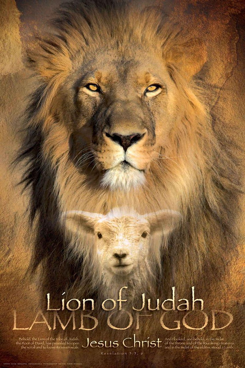 478 LION OF JUDAH, 유다의 사자 정복 HD 전화 배경 화면