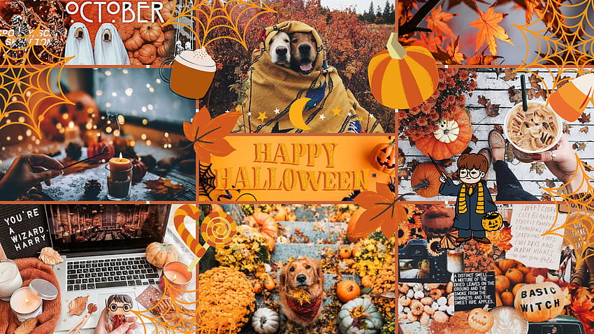 Moodboard Herbst Oktober Halloween, Halloween-Stimmung HD-Hintergrundbild