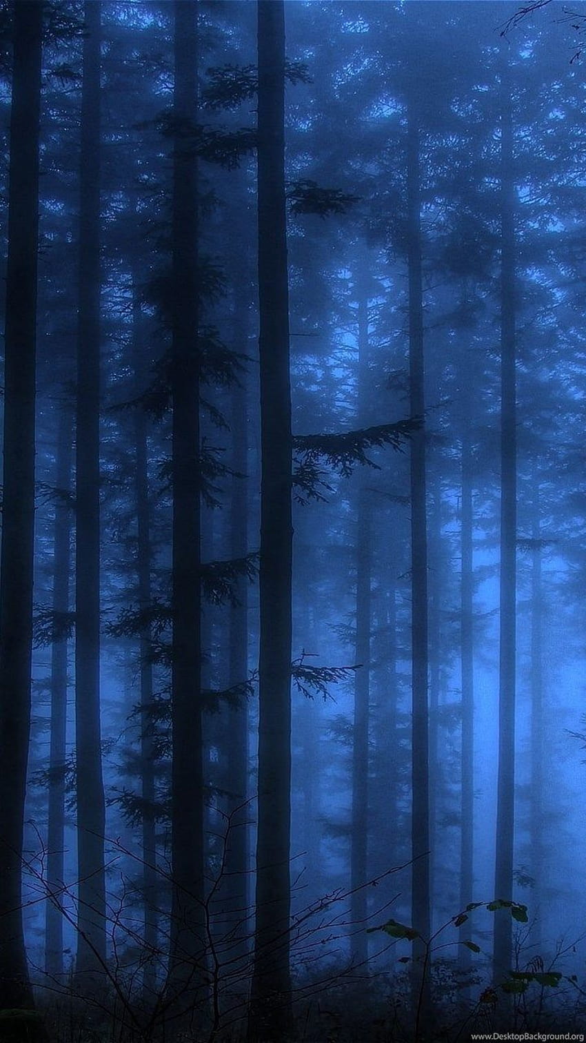 พื้นหลังป่าสีน้ำเงินเข้ม วอลล์เปเปอร์โทรศัพท์ HD