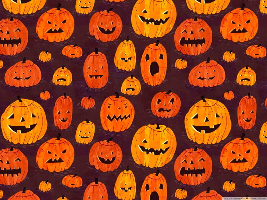 Halloween Pumpkins Cool, pumpkins and basket HD wallpaper