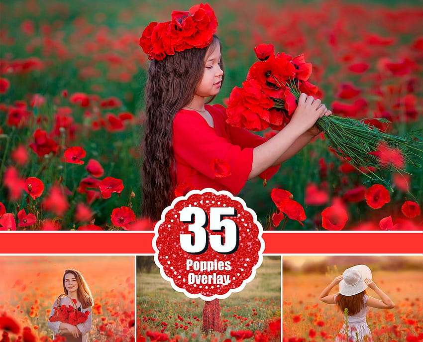 35 наслагвания с червени макове, наслагване на макове, поле с лятни цветя, Pho – MR.Overlay, цифрови летни цветя HD тапет
