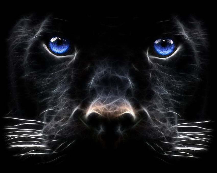 : 얼굴, 푸른, 개, 야생 생물, 큰 고양이, 구레나룻, 흑표범, 퓨마, 추출, 컴퓨터, 검정색과 흰색, 닫다, 포유 동물과 같은 고양이, 주둥이, 카니발란, 유기체 1280x1024, 검은 퓨마 HD 월페이퍼