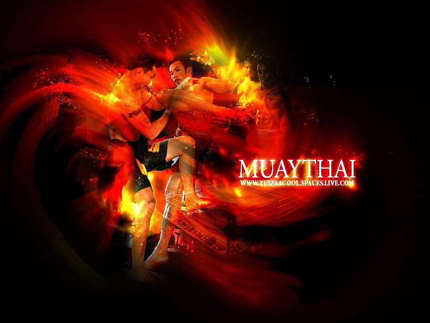 Quelques œuvres d'art douces pour la boxe muay thai, les arrière-plans de mise en page muay thai Fond d'écran HD