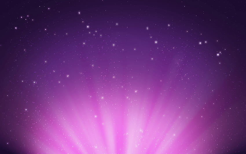 Purple Star on Dog, pertunjukan bakat Wallpaper HD