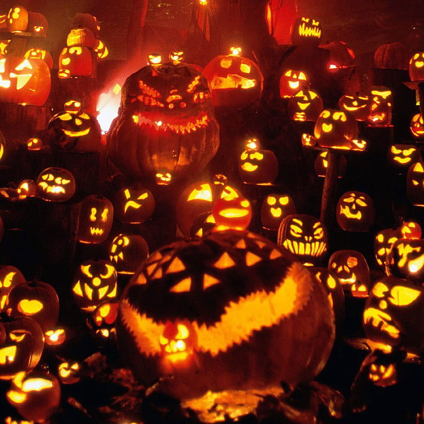 Jack O Lantern 3d, Halloween, Kürbis • Für Sie, für und für Mobilgeräte, orangerotes Halloween HD-Handy-Hintergrundbild