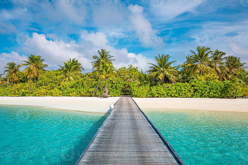 Идиличен тропически плажен пейзаж за фонове или. Проектиране на туристически пейзаж за лятна ваканция, концепция за ваканционна дестинация. Екзотична островна сцена, релаксираща гледка. Paradise seaside lagoon 4881582 Stock at Vecteezy, летен плажен туризъм HD тапет