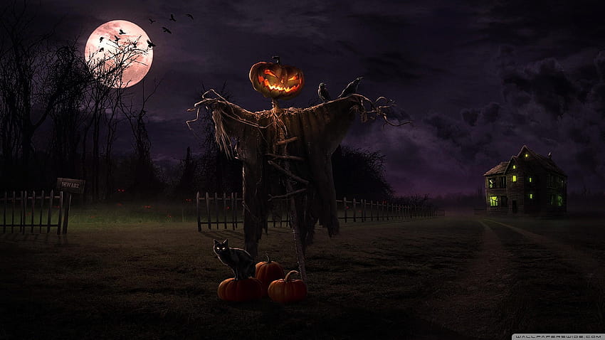 5 Scary Halloween and Screensavers, halloween screensavers HD wallpaper