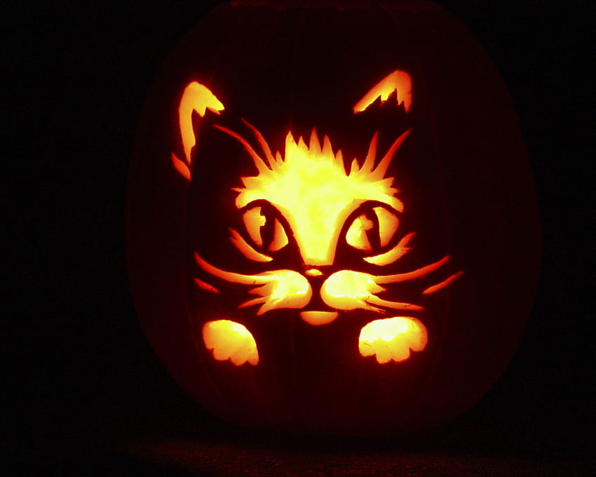 Latar Belakang Halloween Cat PPT untuk PowerPoint Anda [1280x1024] untuk, Seluler & Tablet, kucing halloween lucu Anda Wallpaper HD