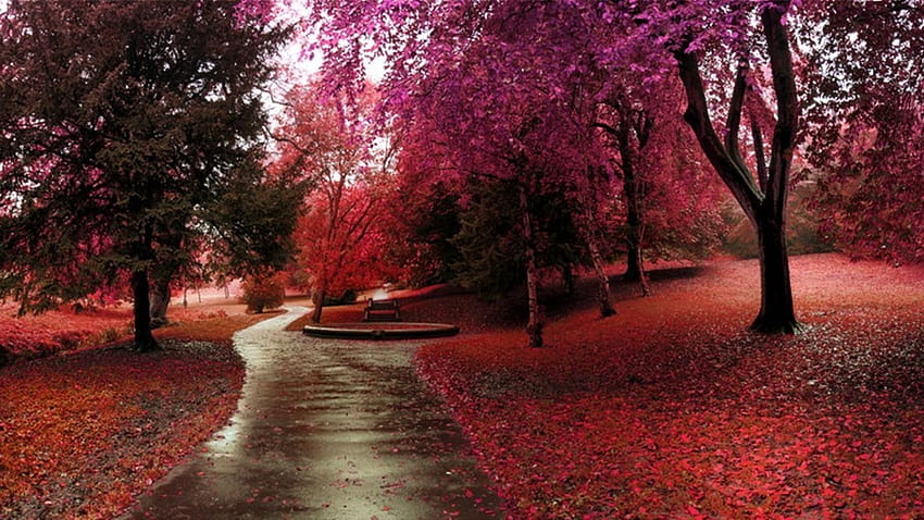 Magischer Herbst HD-Hintergrundbild