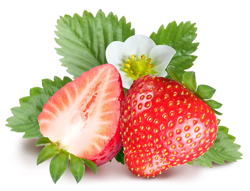 1108 strawberry plant flower, strawberry flower HD wallpaper