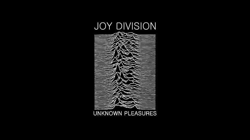 28 Joy Division, Joy Division, división de alegría móvil fondo de pantalla