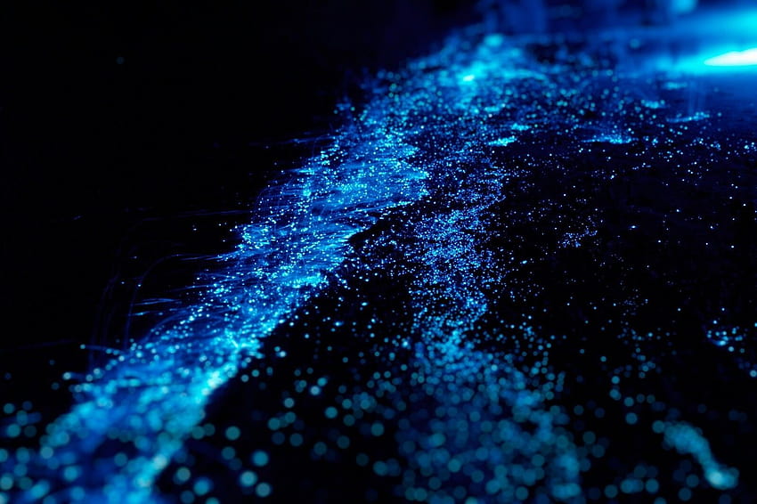 グランドケイマンの生物発光湾、光るプランクトンを気に入る理由はここにあります 高画質の壁紙