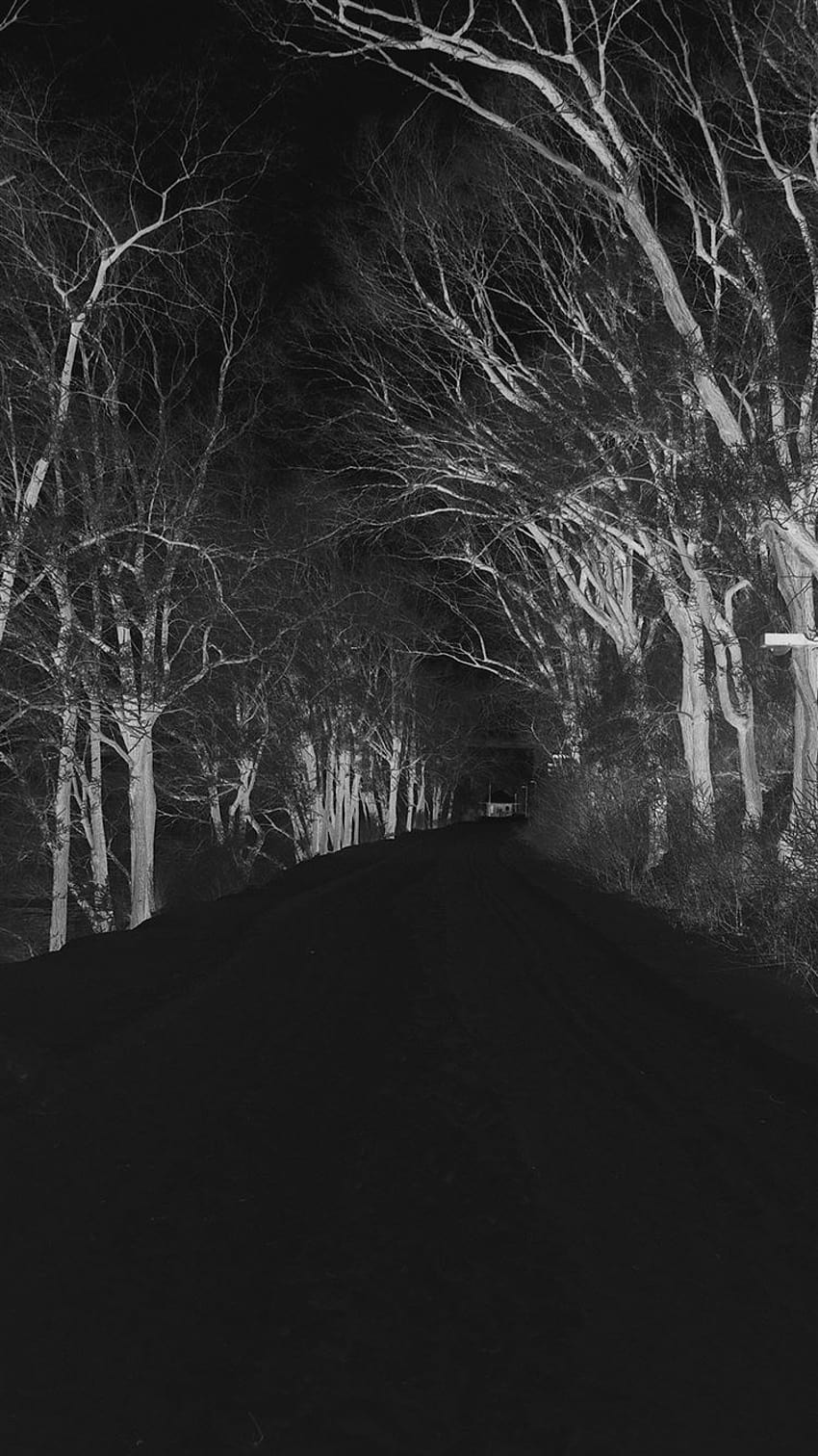 Winter Scary Road Nature Mountain Dark iPhone 8, winter spooky HD phone wallpaper