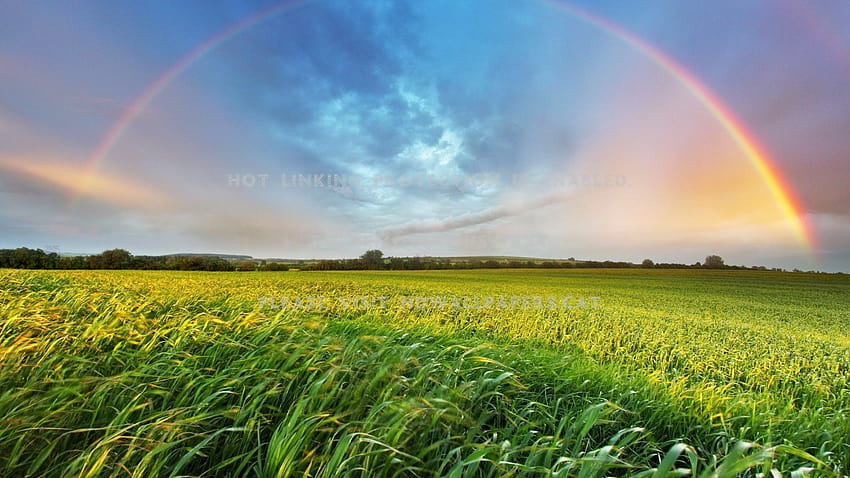 rainbow over the field summer sky clouds, summer rainbows HD wallpaper