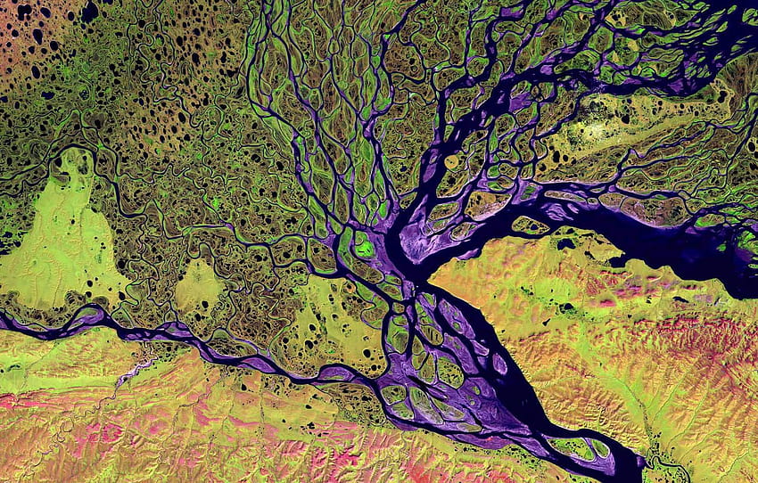 river, Delta, Lena, Siberia , section космос HD wallpaper