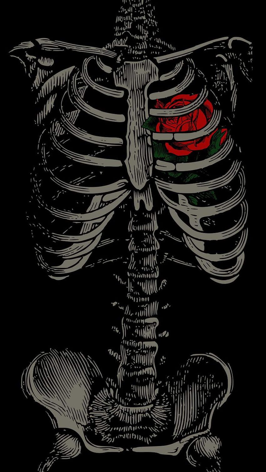 Corazón Esqueleto iPhone, esqueleto emo fondo de pantalla del teléfono