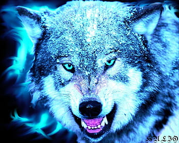 Page 12 | cool wolf for HD wallpapers | Pxfuel