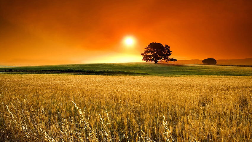 ] My Yearly Late Summer Early Autumn, early sunset HD wallpaper