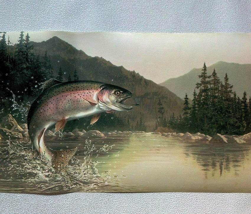 Fishing Rainbow Trout Border Light Hb112192b HD wallpaper